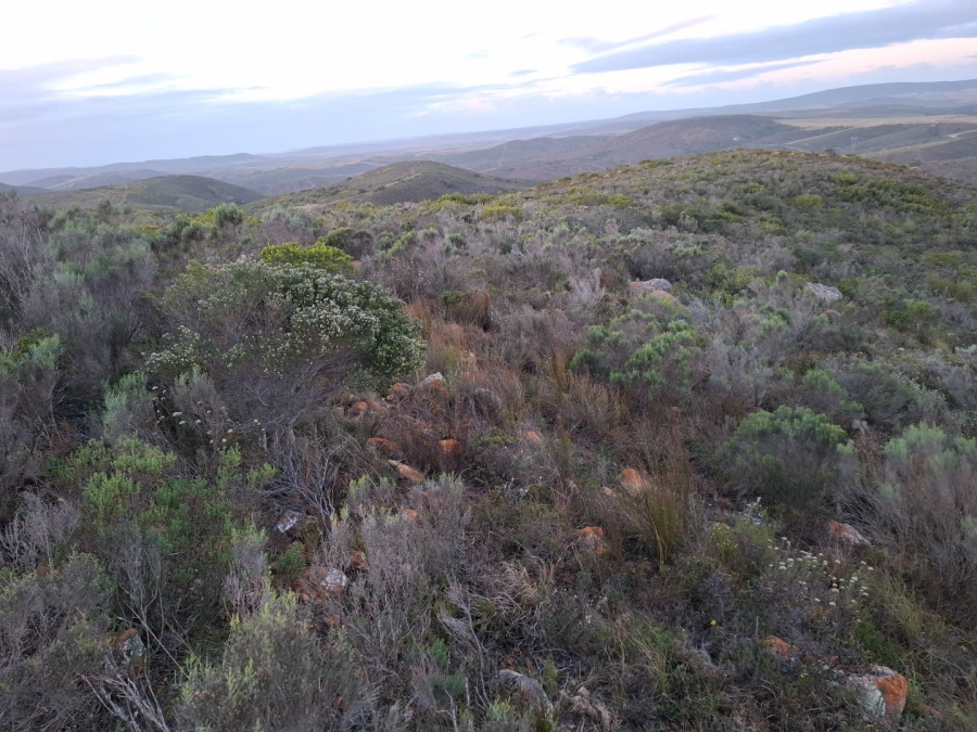  Bedroom Property for Sale in Mossel Bay Rural Western Cape